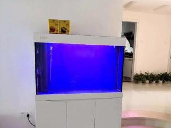 图 深圳专业公司家庭鱼缸养护 安装搬移 深圳宠物食品 用品